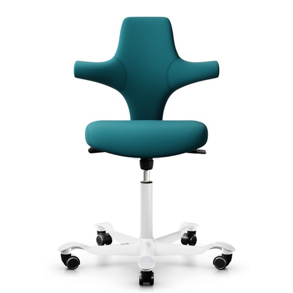 Ergo depot capisco discount chair