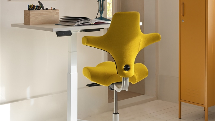 Hag capisco ergonomic online office chair