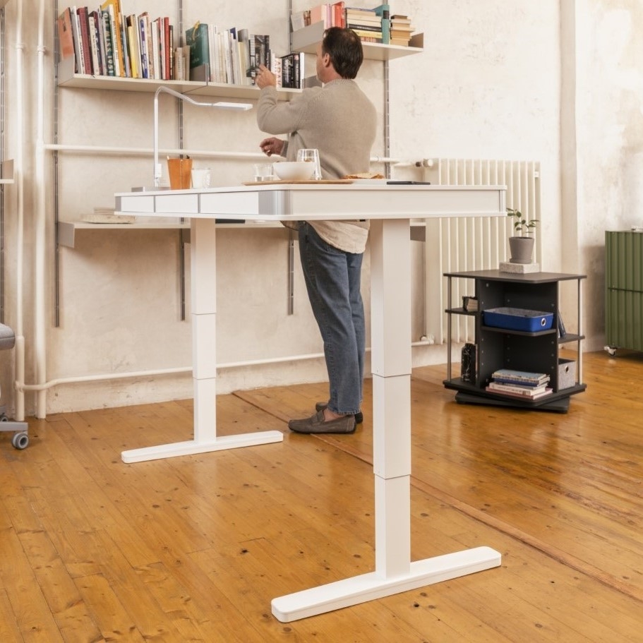 Moll desk best sale